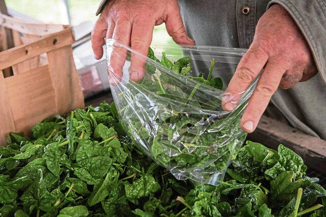 The Block Northway Farmers Market to run through September
